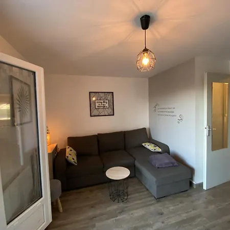 T2 Avec Terrasse Proche Des Thermes Du Connetable, Wi-fi, Lave-vaisselle - Fr-1-541-138 * La Roche-Posay